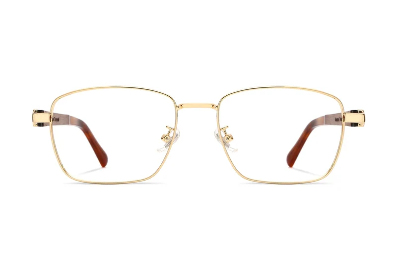 Fair Gold Eyeglasses