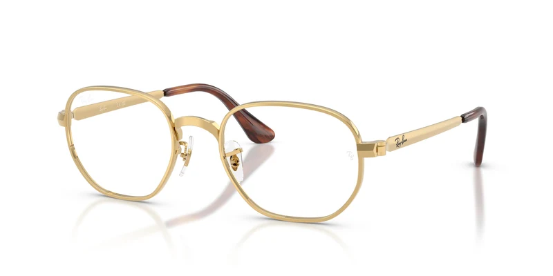 Ray-Ban RX6559 HEXAGONAL MAX 2500 54