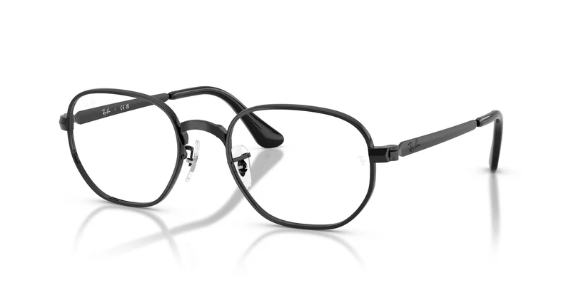 Ray-Ban RX6559 HEXAGONAL MAX 2509 52