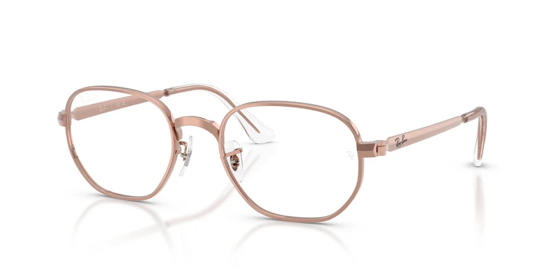 Ray-Ban RX6559 HEXAGONAL MAX 2943 52