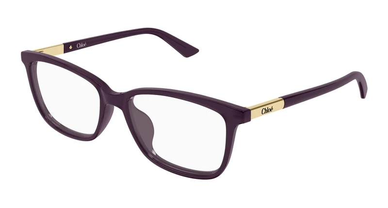 Chloé CH0371OA 004 55