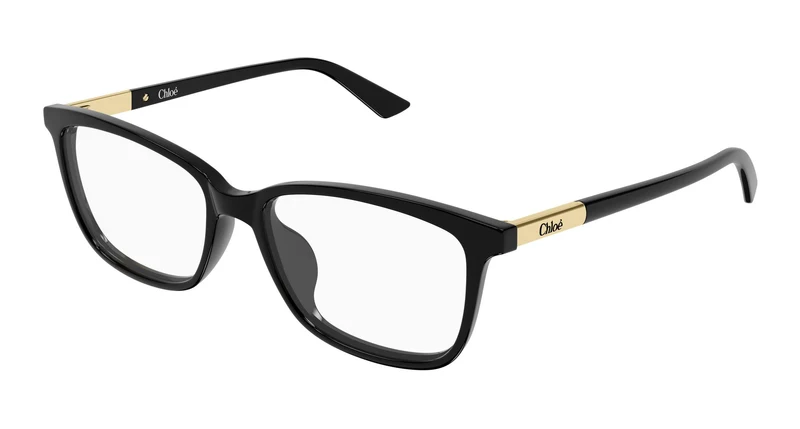 Chloé CH0371OA 001 55