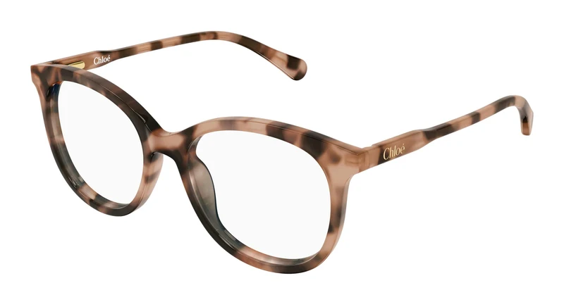 Chloé CC0028O 002 48