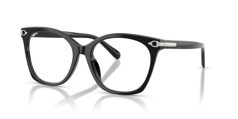Ralph Lauren RL6266U 5001 53