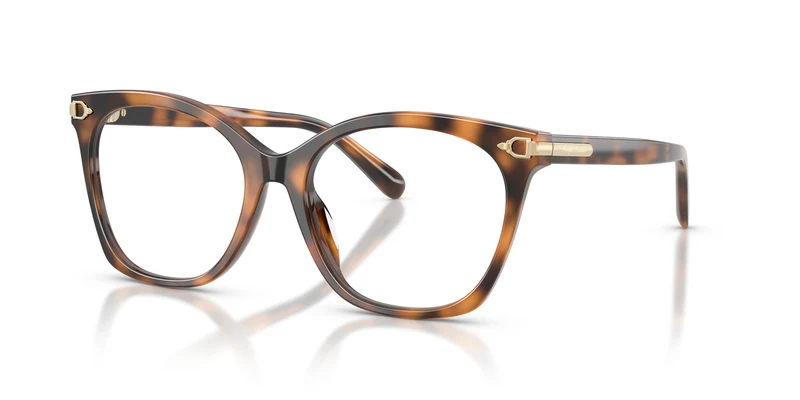Ralph Lauren RL6266U 6089 53