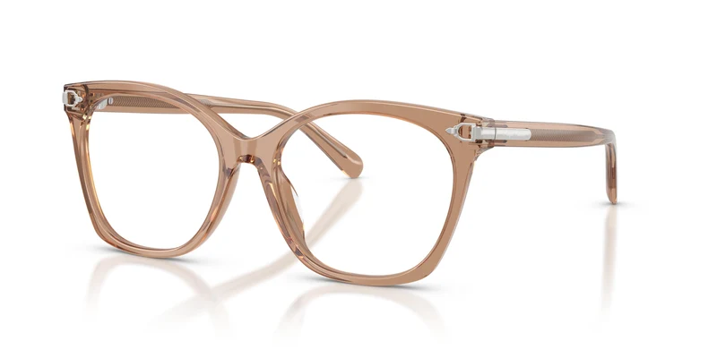 Ralph Lauren RL6266U 6377 53