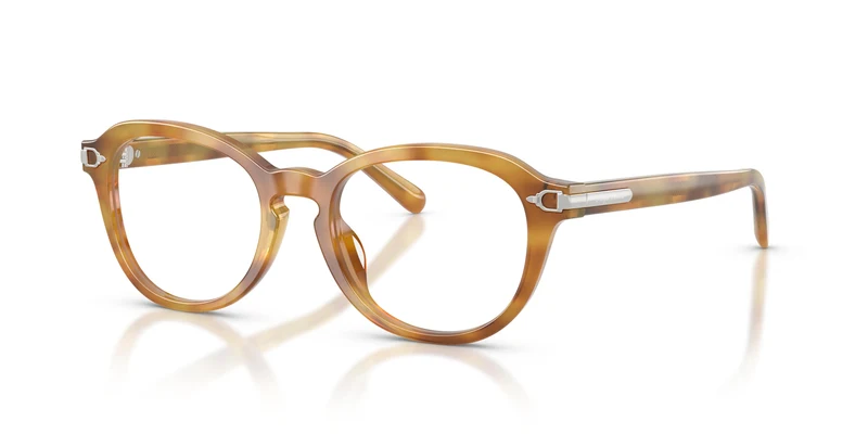 Ralph Lauren RL6267U 6185 50