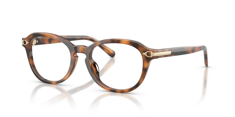 Ralph Lauren RL6267U 6089 50