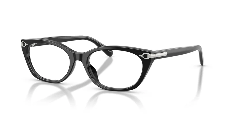 Ralph Lauren RL6268U 5001 53