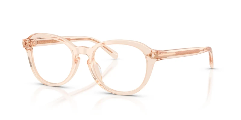 Ralph Lauren RL6267U 6385 50