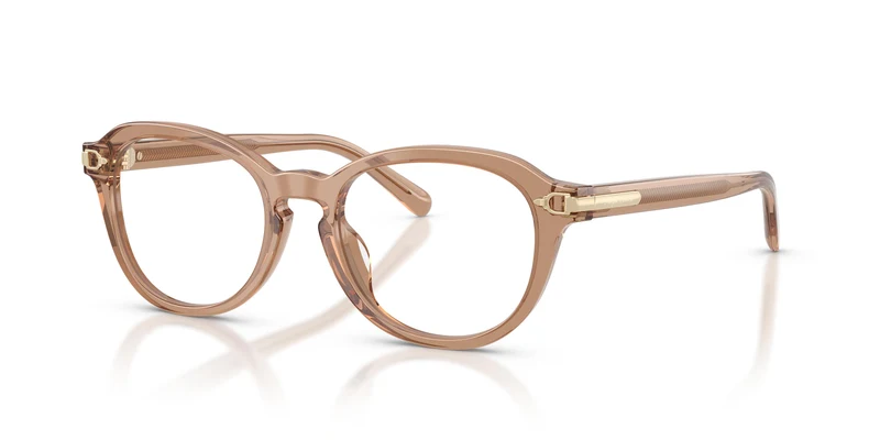 Ralph Lauren RL6267U 6377 50