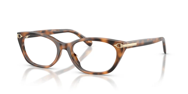 Ralph Lauren RL6268U 6089 53
