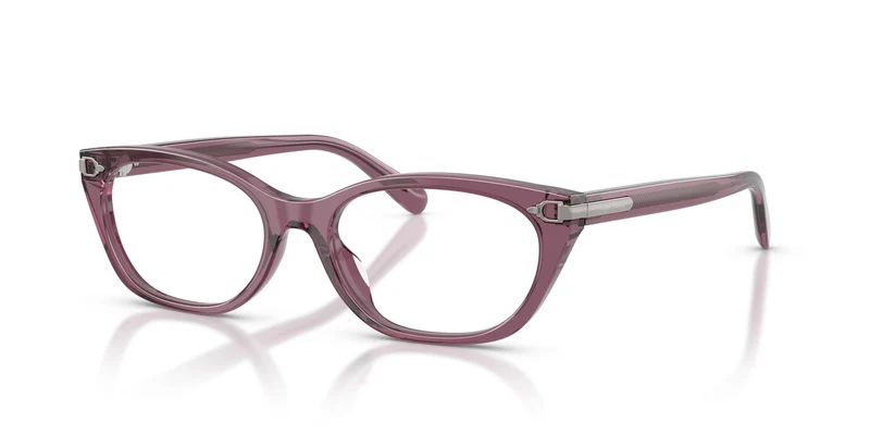 Ralph Lauren RL6268U 6389 53