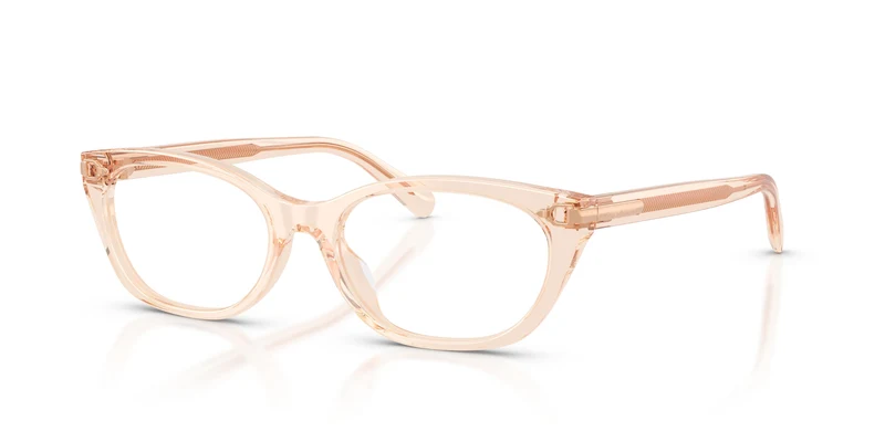 Ralph Lauren RL6268U 6385 51
