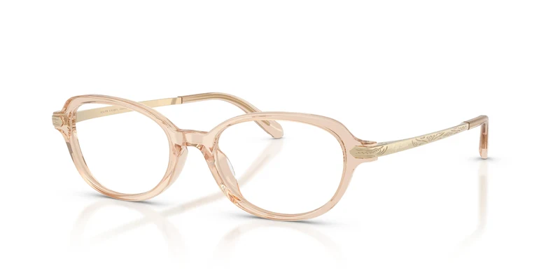 Ralph Lauren RL6269U 6062 49