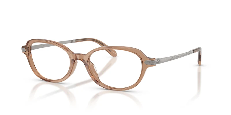 Ralph Lauren RL6269U 6377 51