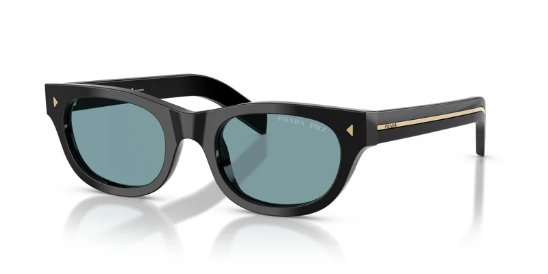 Prada PR C09S 16K04D 51