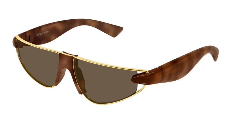 Bottega Veneta BV1523S 002 58