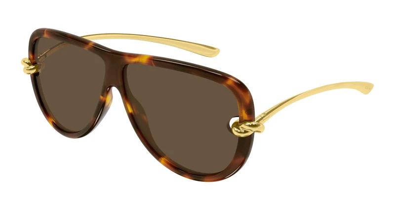 Bottega Veneta BV1513S 002 61