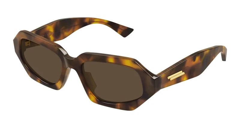 Bottega Veneta BV1502S 002 54
