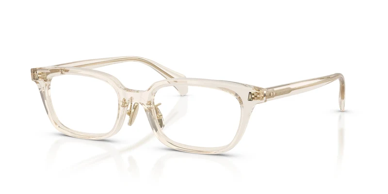 Moncler ME2039D ATELIER 3003 52