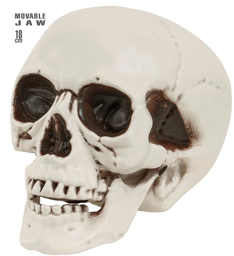 Schedel met beweegbare kaak wit 18 cm decoratie