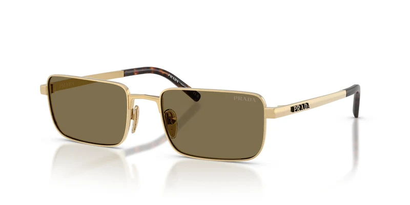 Prada PR D54S 24J90F 55