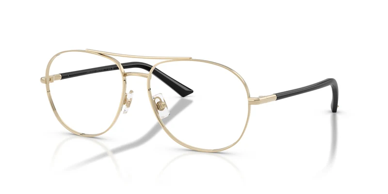 Jimmy Choo JC2021 3006 56