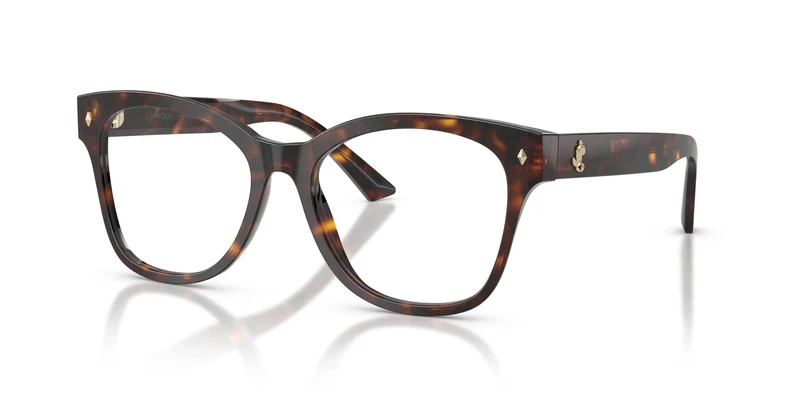 Jimmy Choo JC3056 5002 54
