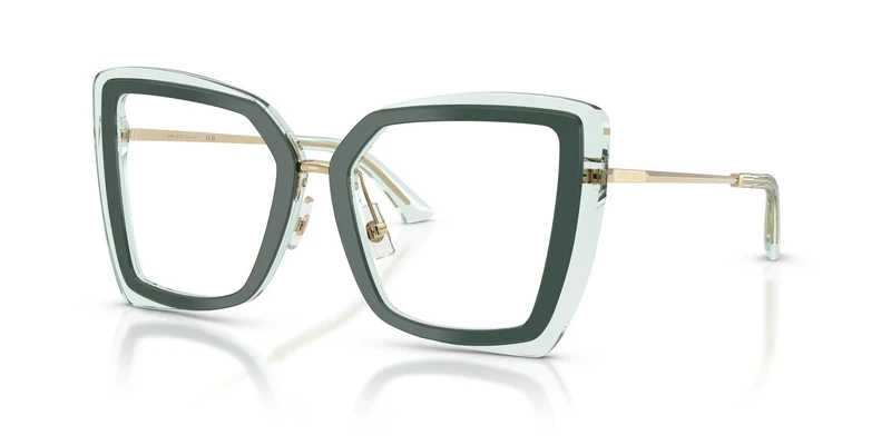 Jimmy Choo JC3059 5104 52