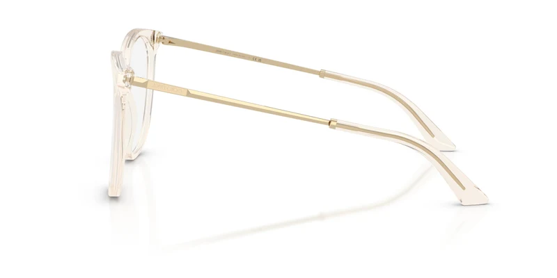 Jimmy Choo JC3060 5107 55