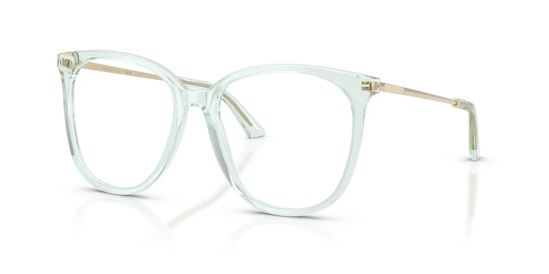 Jimmy Choo JC3060 5108 55