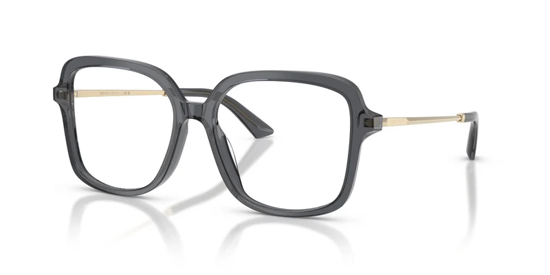 Jimmy Choo JC3061U 5106 53