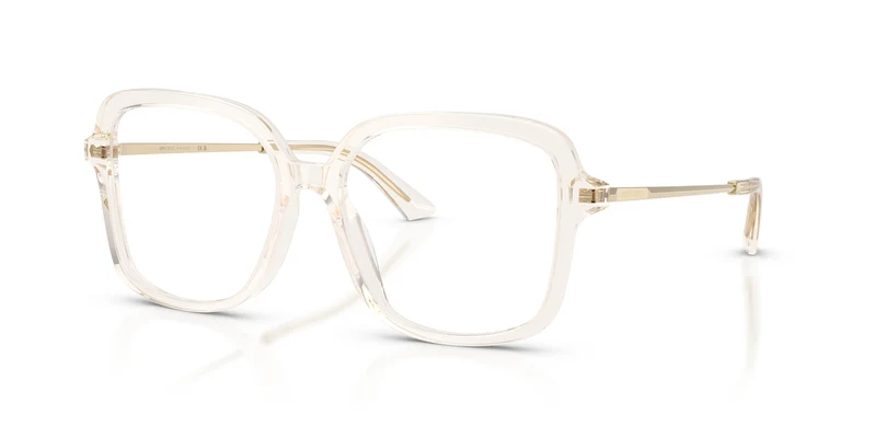 Jimmy Choo JC3061U 5107 55