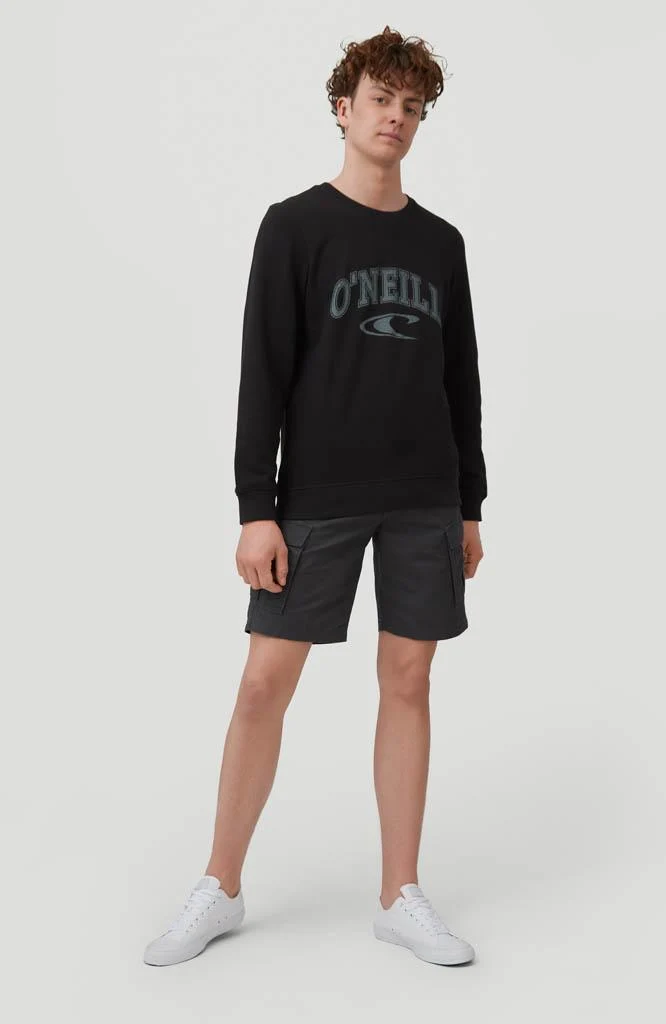 Beach Break Cargo Shorts