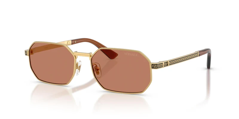 Versace VE2297 100273 54