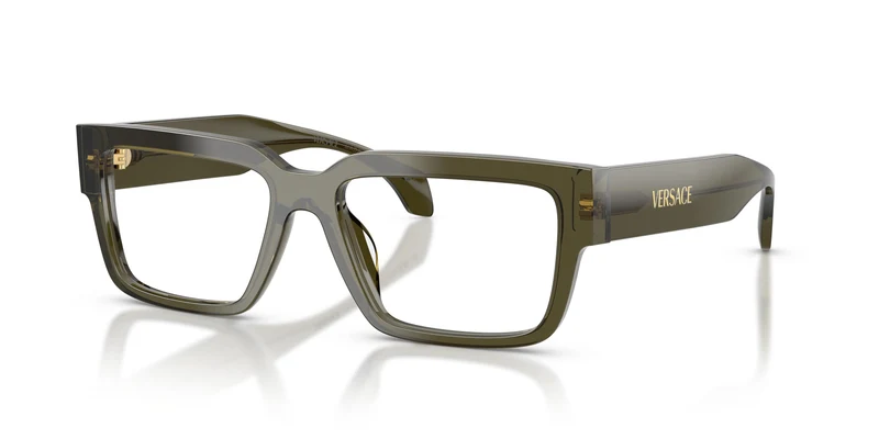 Versace VE3374U 5542 53