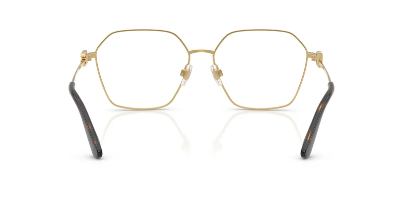 Dolce & Gabbana DG1366 02 58