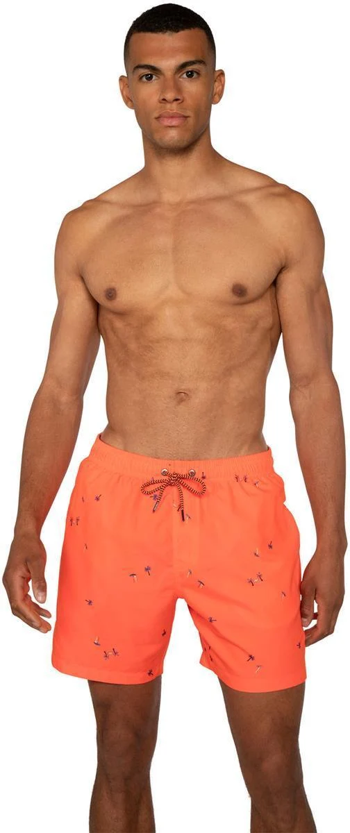 souflee beachshort