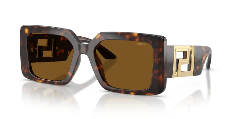 Versace VE4505U 108/83 55