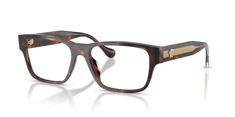 Versace VE3390U 5537 56