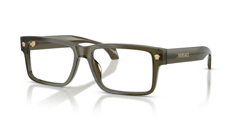 Versace VE3391U 5542 54