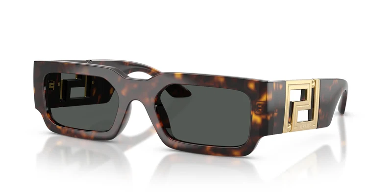 Versace VE4506U 108/87 54