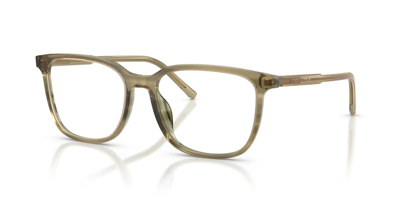 Dolce & Gabbana DG3445 3480 55