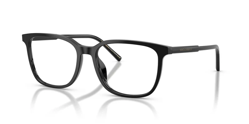 Dolce & Gabbana DG3445 501 55