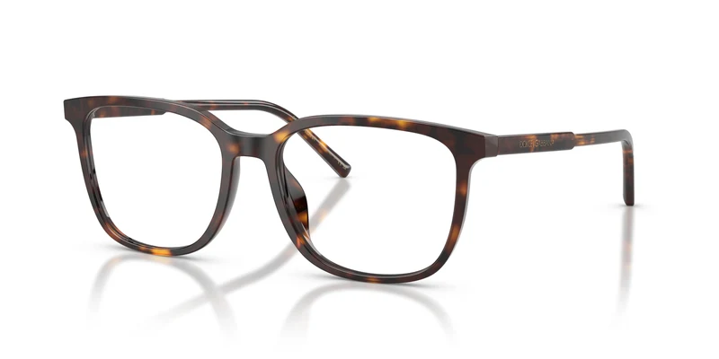 Dolce & Gabbana DG3445 502 55