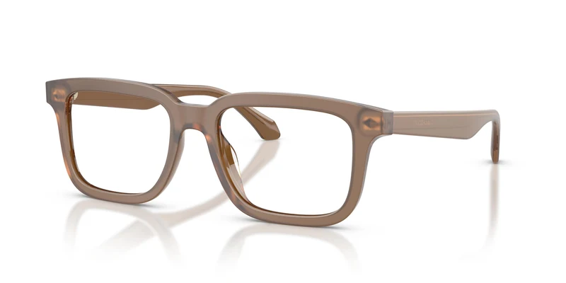 Giorgio Armani AR7293U 6475 51