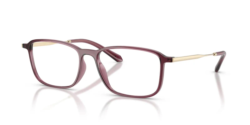 Giorgio Armani AR7294U 6487 55