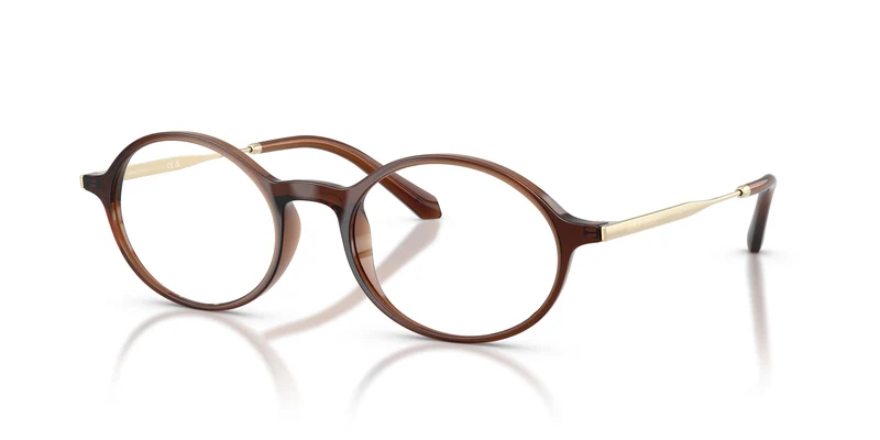 Giorgio Armani AR7295U 6484 52