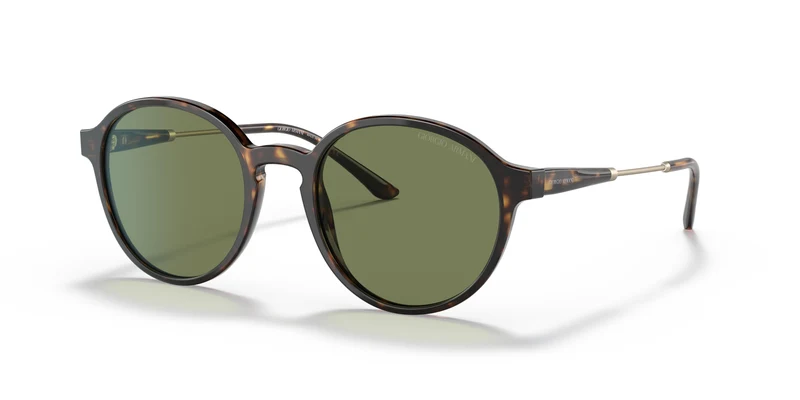 Giorgio Armani AR8160 50262A 51